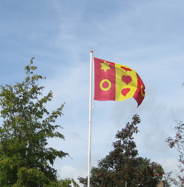 Vlag